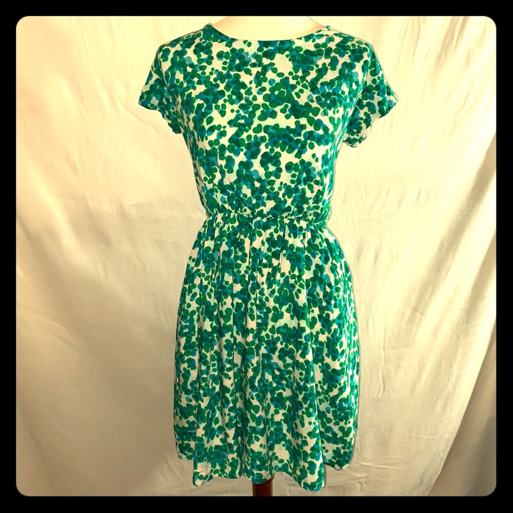 Gap Zoe Sleeve Fit & Flare Dress